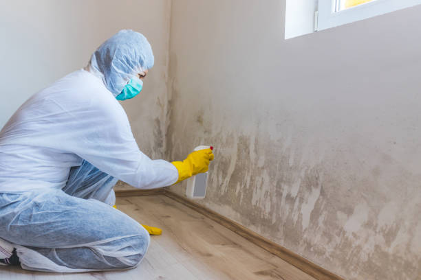 Hvac And Air Duct Mold Remediation inspection of HVAC system in Belle Mead
