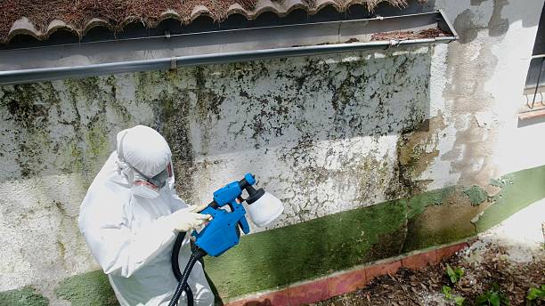 Clearance testing in Belle Mead